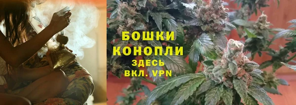 ГАЛЛЮЦИНОГЕННЫЕ ГРИБЫ Абинск