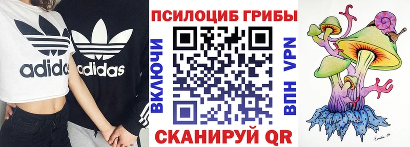 OMG маркетплейс  Ессентукская  Галлюциногенные грибы ЛСД 